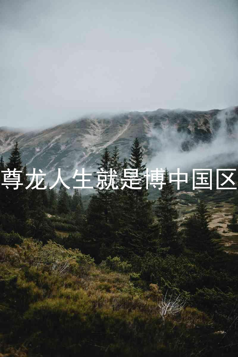 尊龙人生就是博中国区
